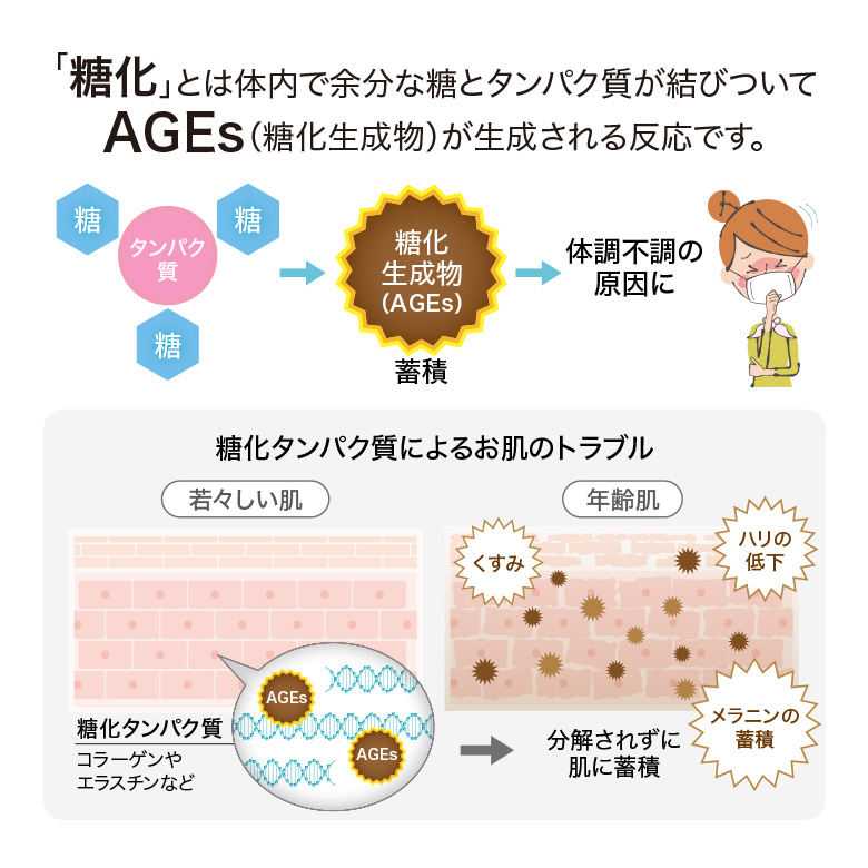 糖化とは体内で余分な糖とタンパク質が結びついてAGEs（糖化生成物）が生成される反応です