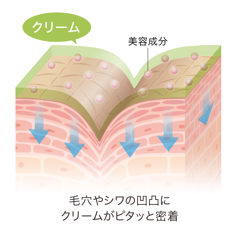 毛穴やシワの凸凹にクリームがピタッと密着