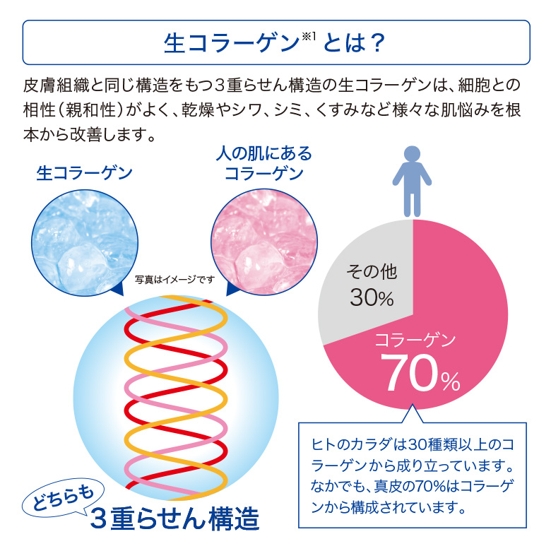 生コラーゲンとは？